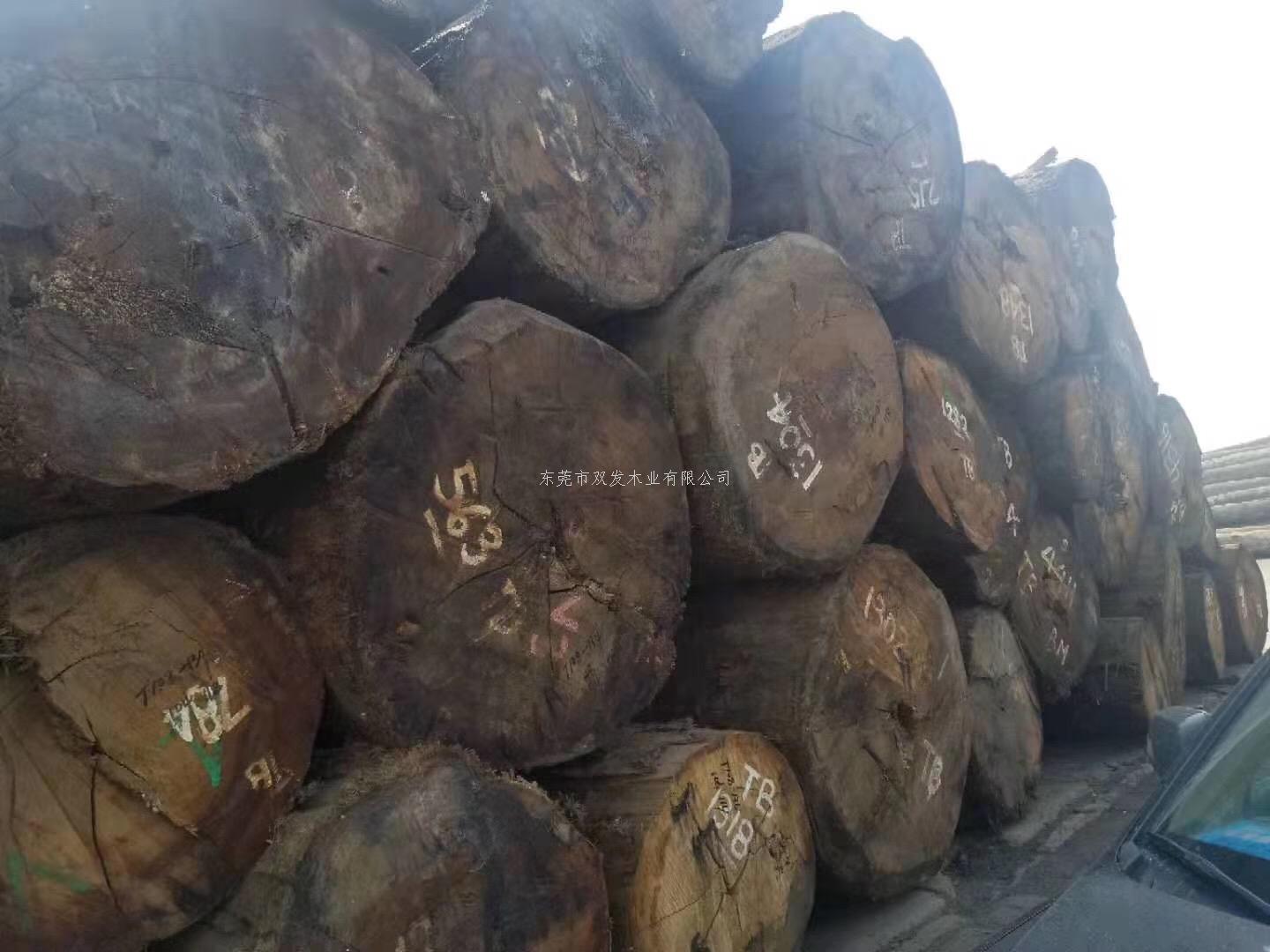 迎7月家具展，雙發(fā)木業(yè)原木加工進行中。。
